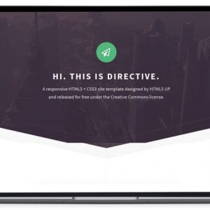 Directive - HTML5 Website Template