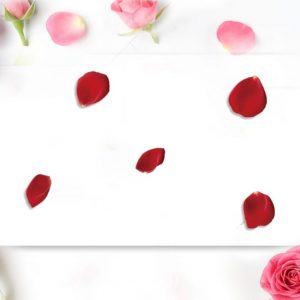 Bouquet Rose Petal Flower Background