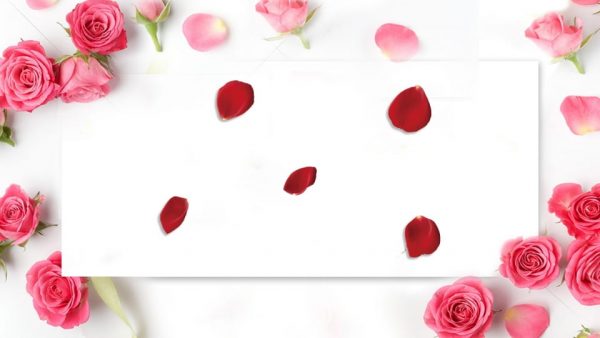 Bouquet Rose Petal Flower Background