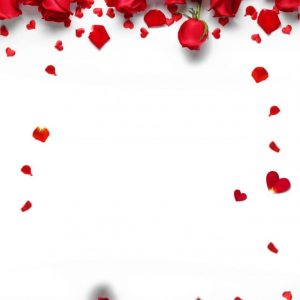 Romantic Red Roses Background