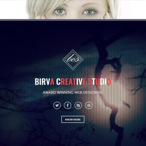 Birva - Bootstrap Parallax One Page Template