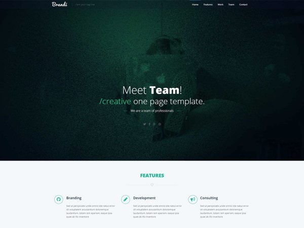 Brandi – Responsive One Page Bootstrap Business Template