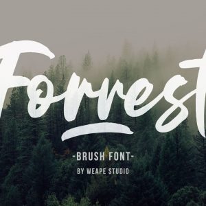 Forrest - Brush Font