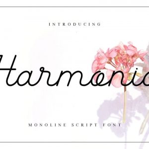 Harmonia Monoline Script Font