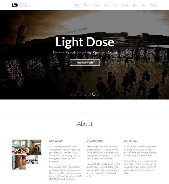 LightDose — Flat&Minimal Responsive HTML Template
