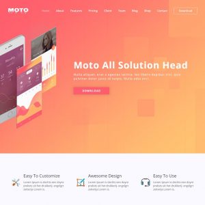 Moto - WordPress Landing Page Theme