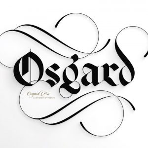 Osgard Pro