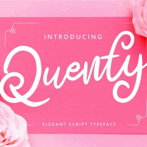 Quenty - Elegant Script Typeface