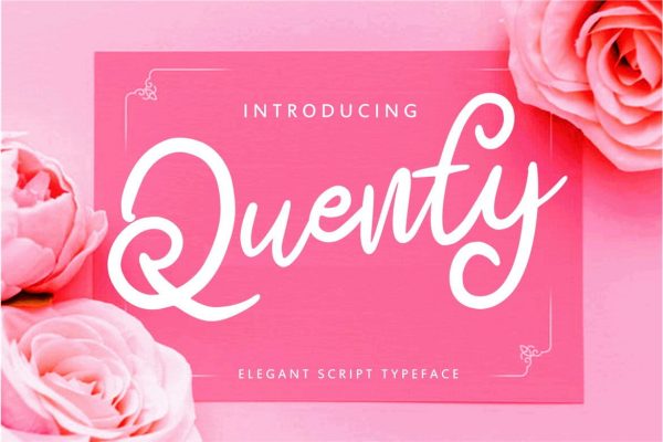 Quenty - Elegant Script Typeface
