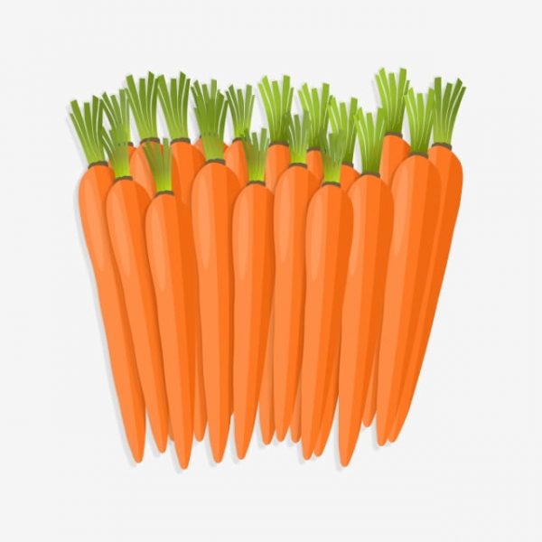 Stand Carrots Vegetables Hand Drawn (Turbo Premium Space)