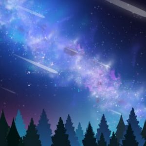 Starry Sky Background Blue Forest Illustration
