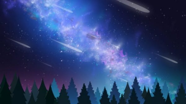 Starry Sky Background Blue Forest Illustration