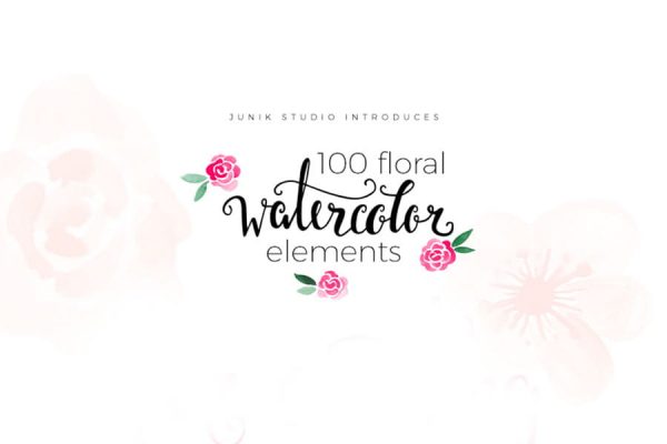 Watercolor Floral Elements (Turbo Premium Space)