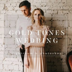 Gold Film Toned Wedding Presets