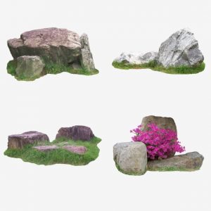 Natural Flower And Stone In Garden