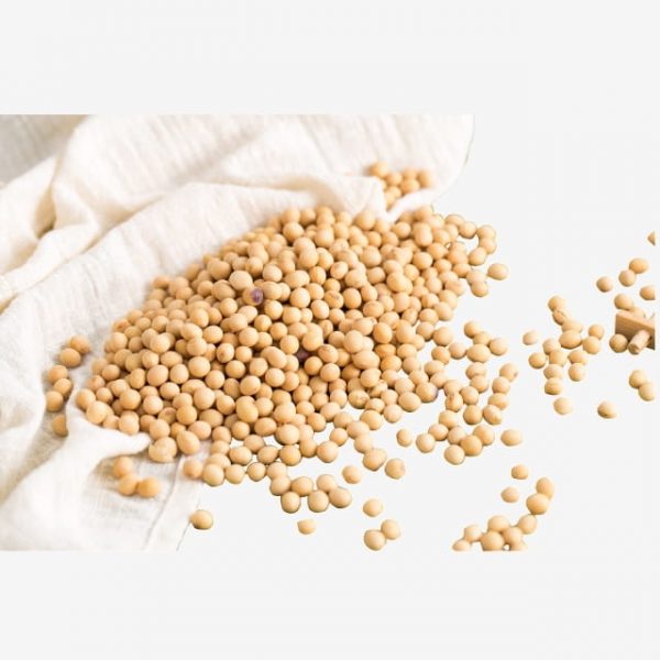 Real Shot Soy Milk Raw Soybean Seeds (Turbo Premium Space)