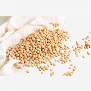 Real Shot Soy Milk Raw Soybean Seeds