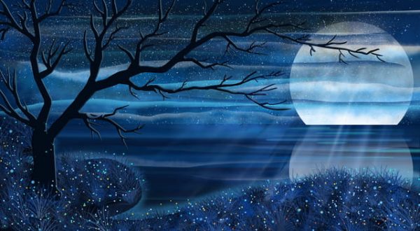 Romantic Starry Moonlight Reflection Illustration (Turbo Premium Space)