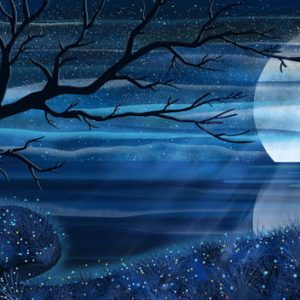 Romantic Starry Moonlight Reflection Illustration